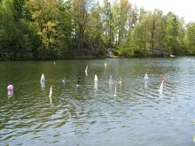 Soutěž plachetnic Footy probíhala v zátoce Cikánka.